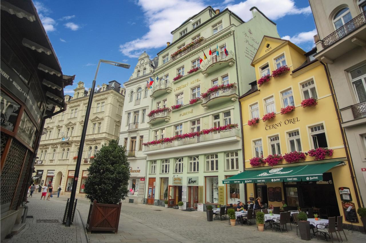 Spa Hotel Purkyne Karlovy Vary Kültér fotó